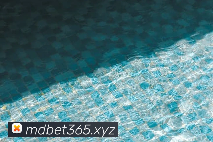 bet365官网服务体系